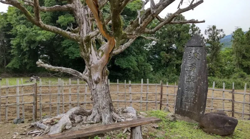 Hadano Castle, Japan